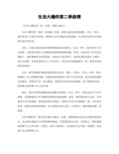 生活大爆炸第二季剧情