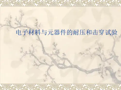 击穿实验与耐压试验 ( 2 )