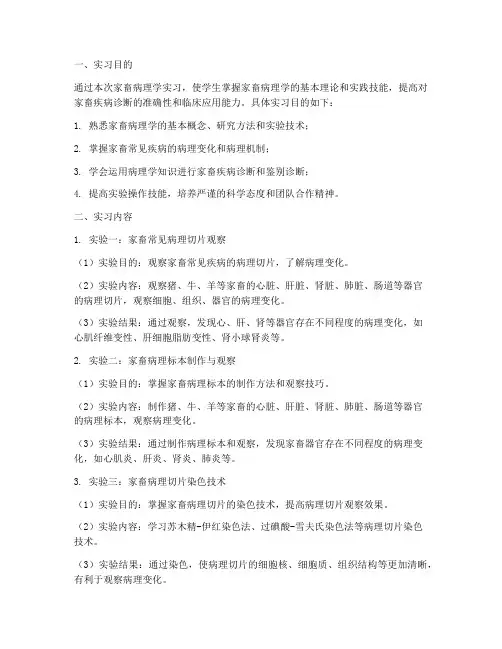 家畜病理学实习报告