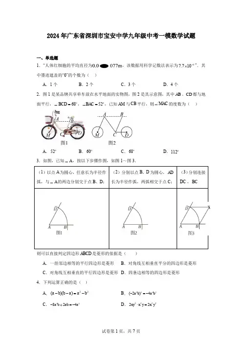 2024年广东省深圳市宝安中学九年级中考一模数学试题
