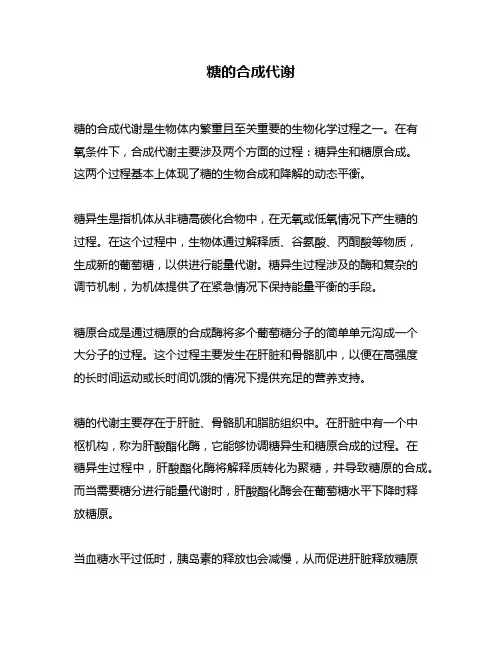 糖的合成代谢