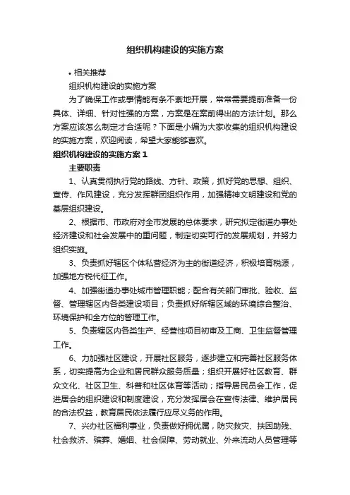 组织机构建设的实施方案