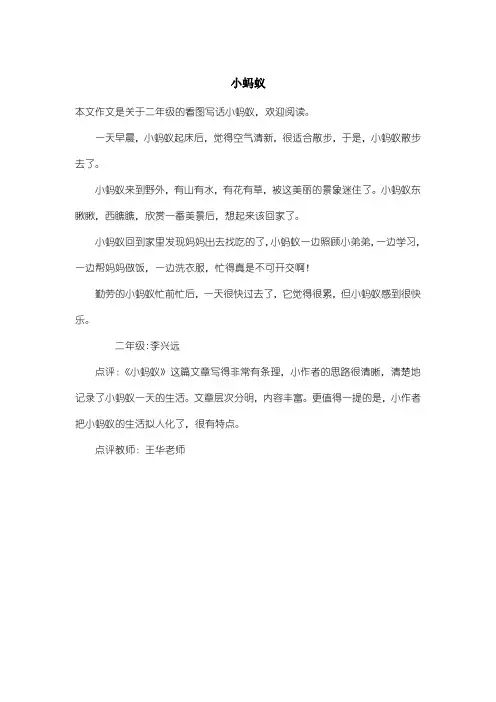 小学二年级看图写话：小蚂蚁
