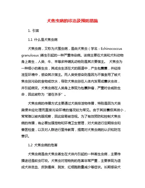犬焦虫病的诊治及预防措施