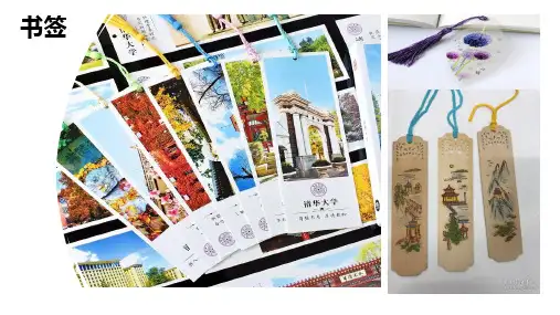 科学社团课《叶脉书签》