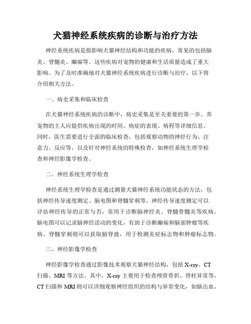 犬猫神经系统疾病的诊断与治疗方法