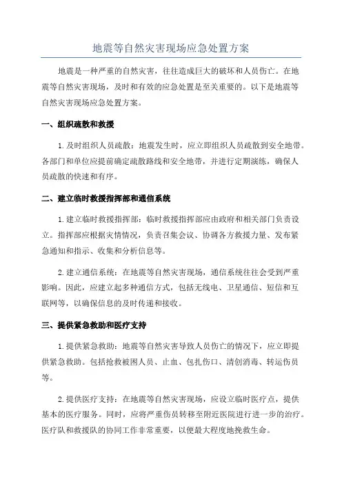 地震等自然灾害现场应急处置方案