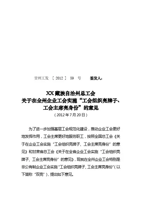 双亮实施意见