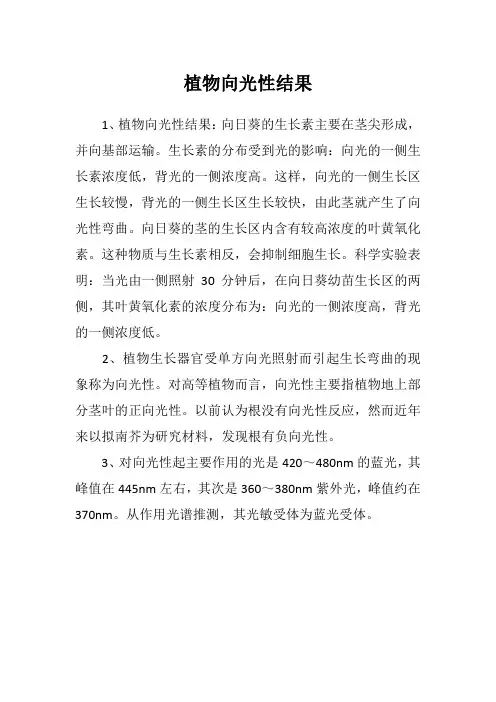 植物向光性结果
