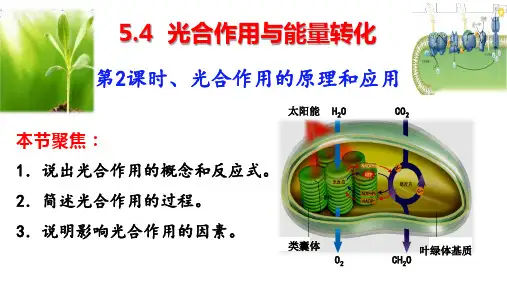 5.4.2 光合作用的原理和应用 第2课时 光合作用的原理和应用 课件