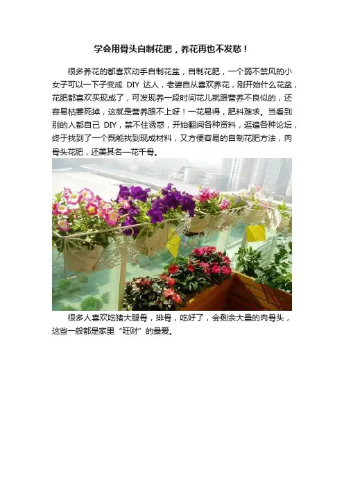 学会用骨头自制花肥，养花再也不发愁！
