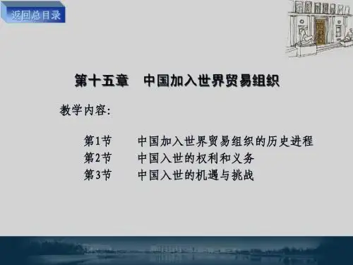 《世界贸易组织规则》教学课件第15章