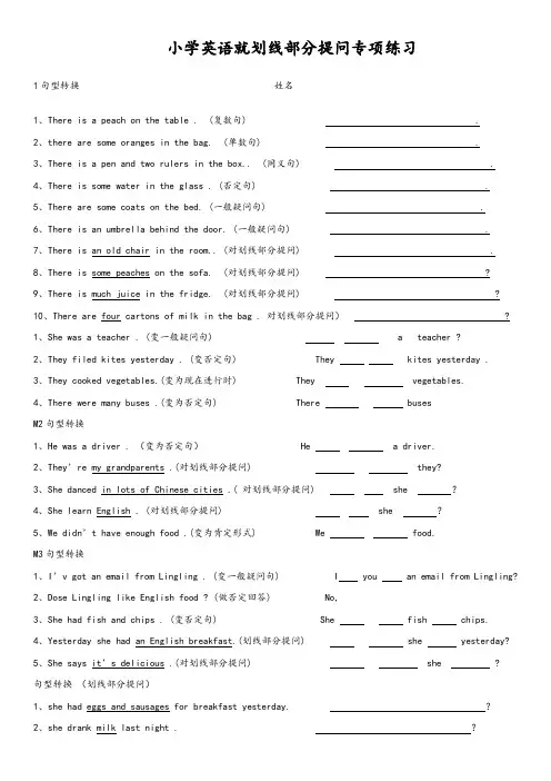 小学英语就划线部分提问专项练习