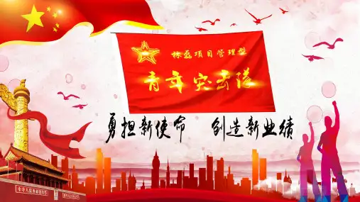 青年突击队