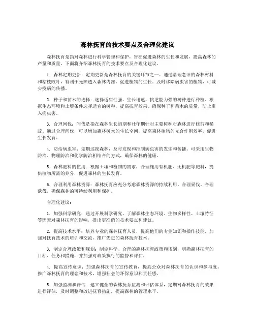 森林抚育的技术要点及合理化建议