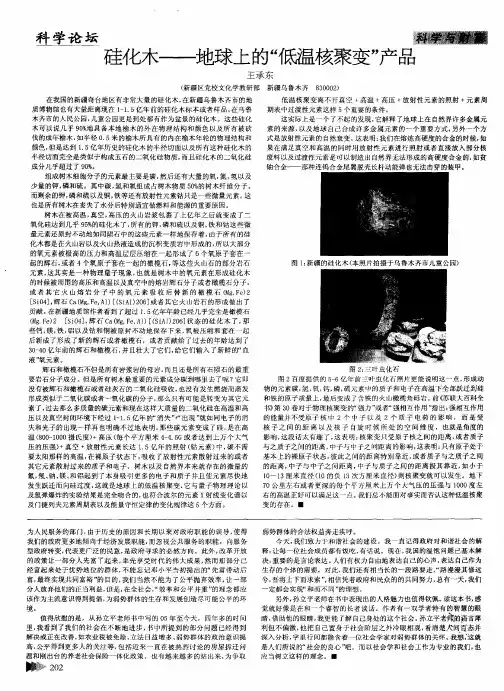 硅化木—-地球上的“低温核聚变”产品