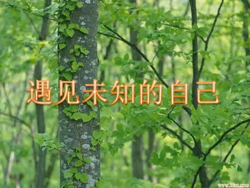 《遇见未知的自己》介绍
