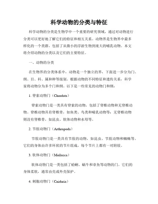 科学动物的分类与特征