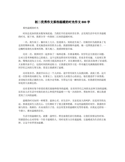 初二优秀作文那些温暖的时光作文800字