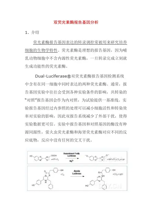 双荧光素酶报告基因分析promega
