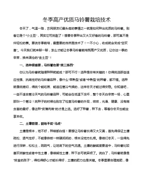 冬季高产优质马铃薯栽培技术