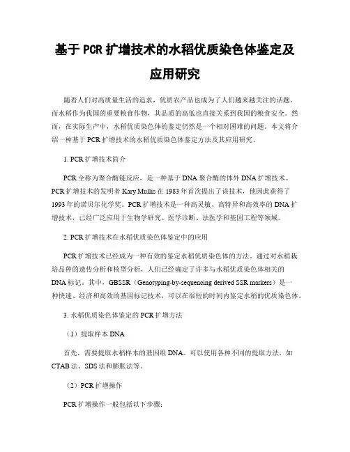 基于PCR扩增技术的水稻优质染色体鉴定及应用研究