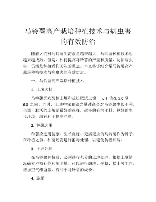 马铃薯高产栽培种植技术与病虫害的有效防治