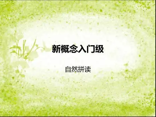新概念入门级自然拼读