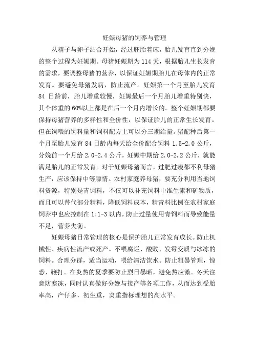 妊娠母猪的饲养与管理