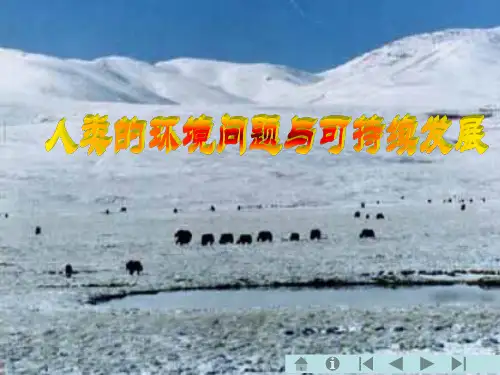 高中地理课件：人类面临的全球性环境问题和可持续发展