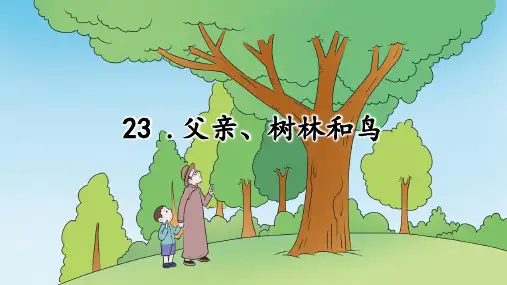 父亲、树林和鸟ppt课件