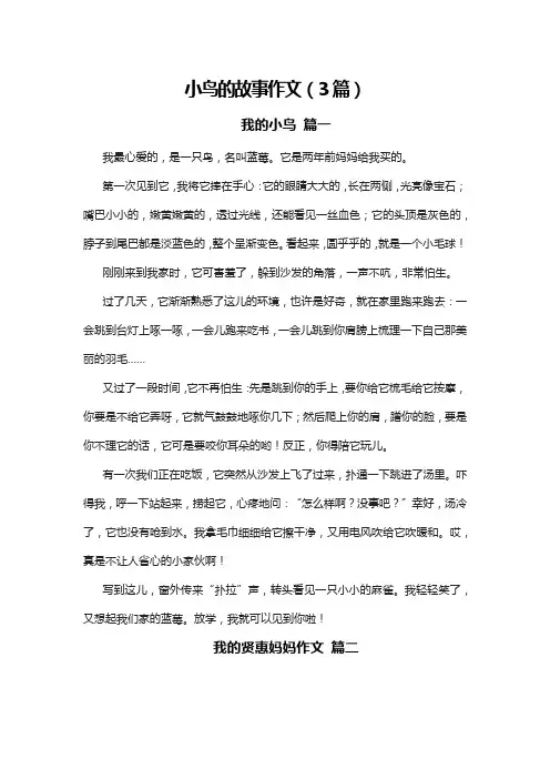 小鸟的故事作文(3篇)