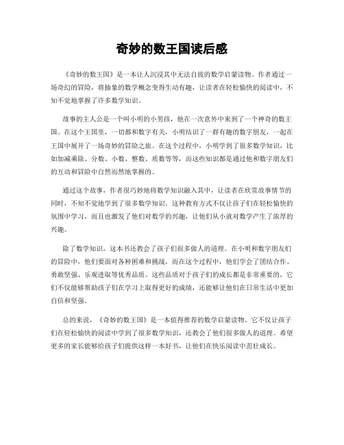 奇妙的数王国读后感