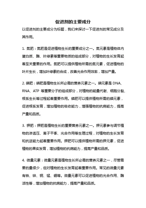 促进剂的主要成分