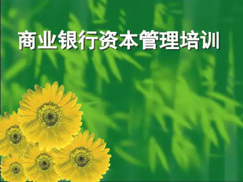 商业银行资本管理培训