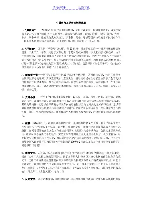 中国当代文学名词解释集锦