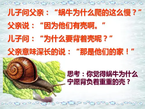 《我爱我家》ppt课件