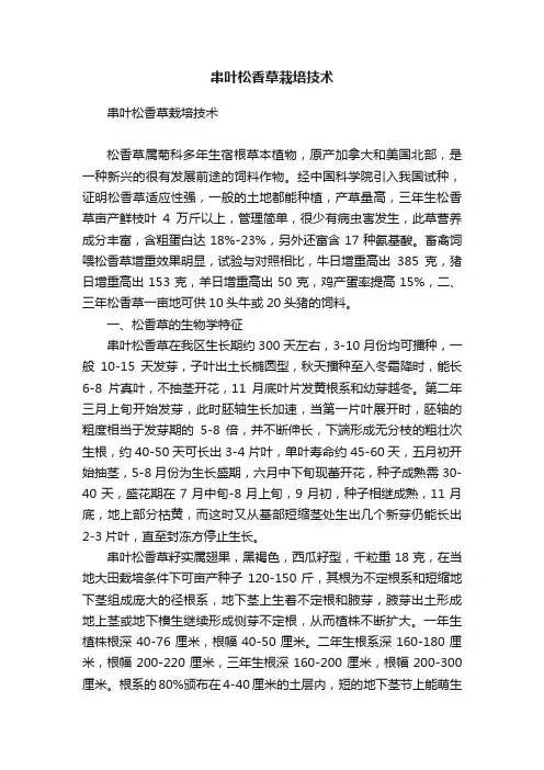 串叶松香草栽培技术