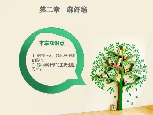 第2章 麻纤维