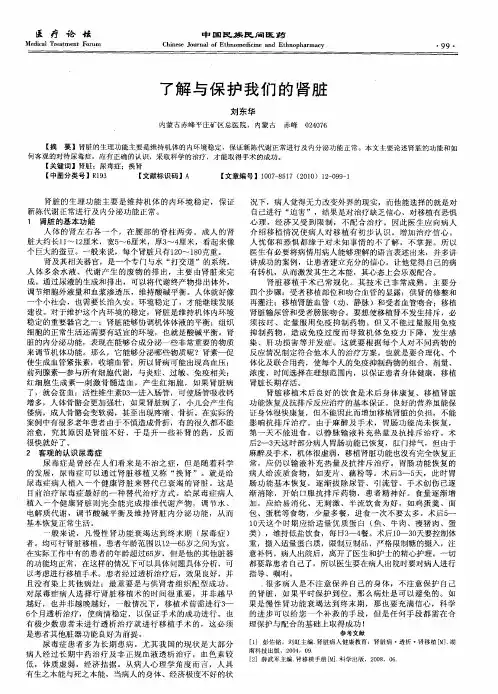 了解与保护我们的肾脏