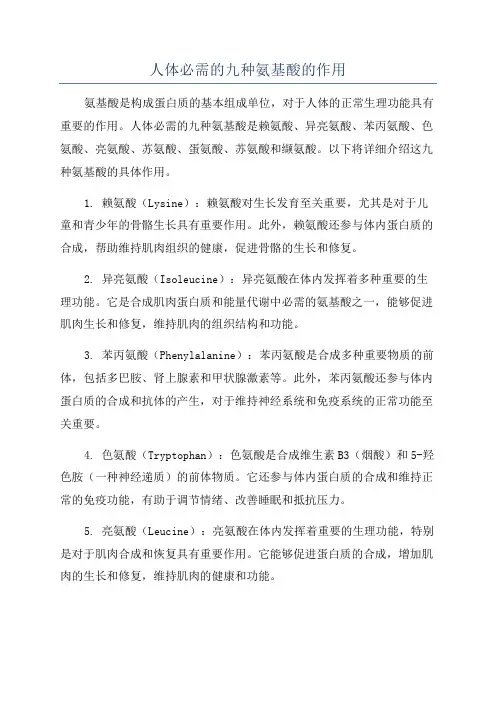 人体必需的九种氨基酸的作用