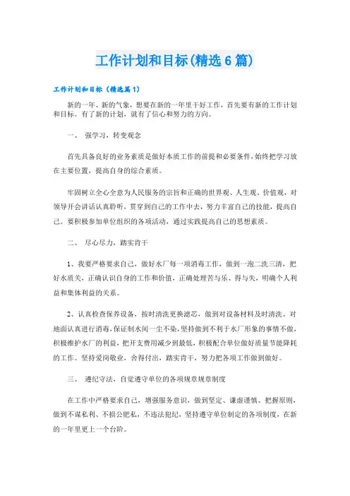 工作计划和目标(精选6篇)