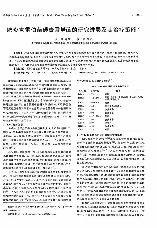 肺炎克雷伯菌碳青霉烯酶的研究进展及其治疗策略