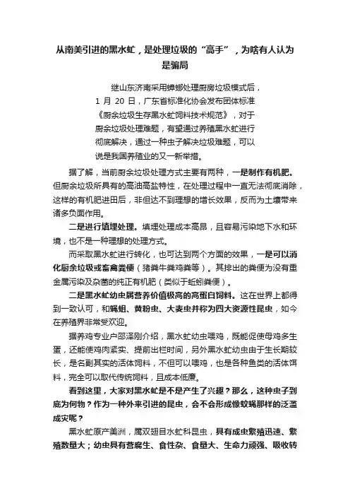从南美引进的黑水虻，是处理垃圾的“高手”，为啥有人认为是骗局