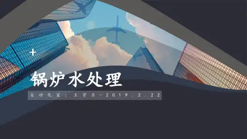 锅炉水处理培训