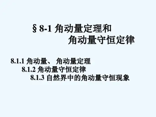第八章 角动量定理 PPT