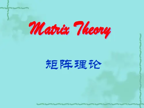 矩阵论简明教程(第二版)第一讲[1]