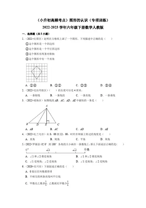 (小升初高频考点)图形的认识(专项训练)2022-2023学年六年级下册数学人教版(含解析)
