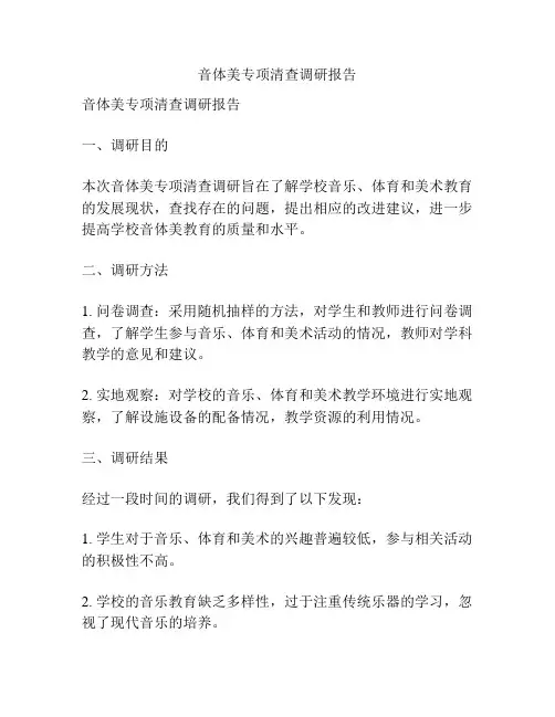 音体美专项清查调研报告