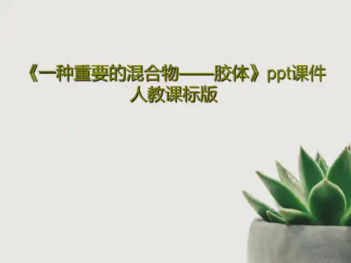 《一种重要的混合物——胶体》ppt课件 人教课标版共34页文档